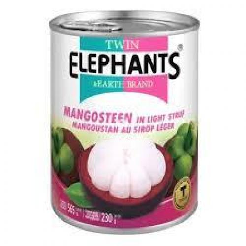 TE -  Mangosteen in Light Syrup Drained 230g