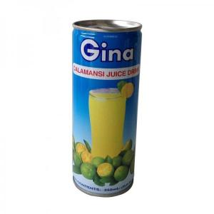 Gina - Calamansi Juice 250ML