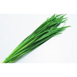 Chives ￡2.65/per pack