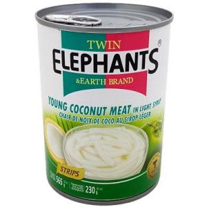 TE -  Young Coconut Meat STRIPS in Syrup 230G
