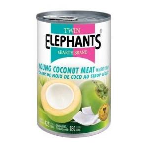 TE - Young Coconut Meat In Light Syrup  180G