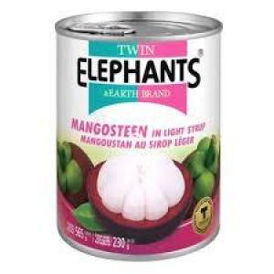 TE -  Mangosteen in Light Syrup Drained 230g